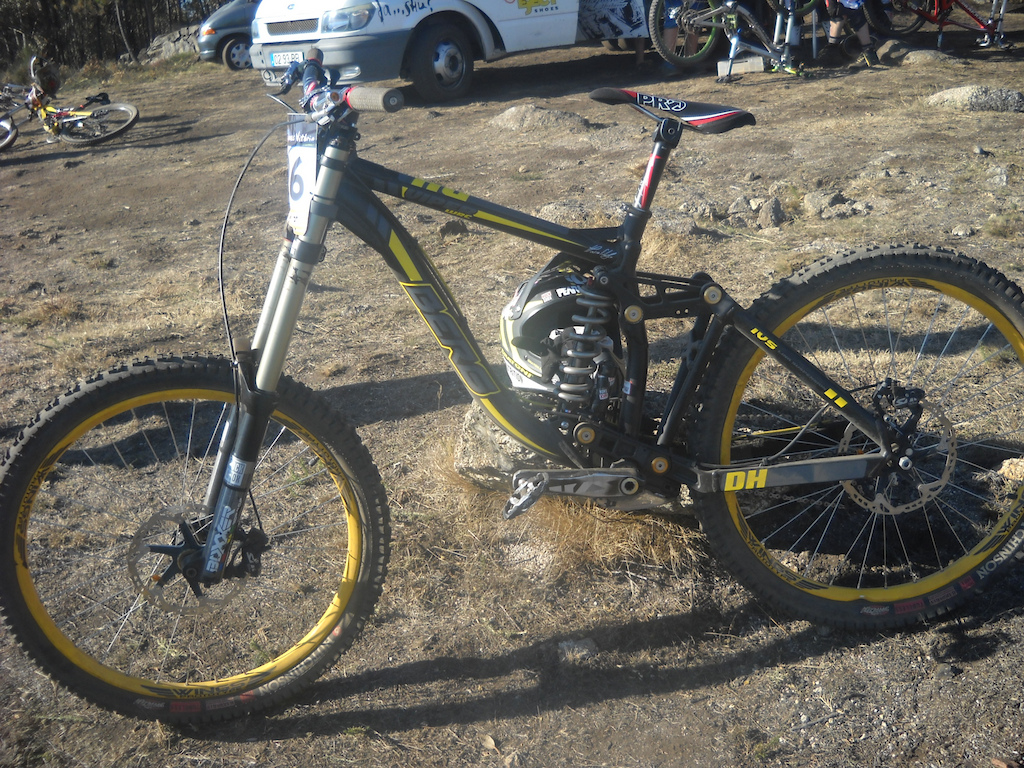 New BERG VIPER 2011