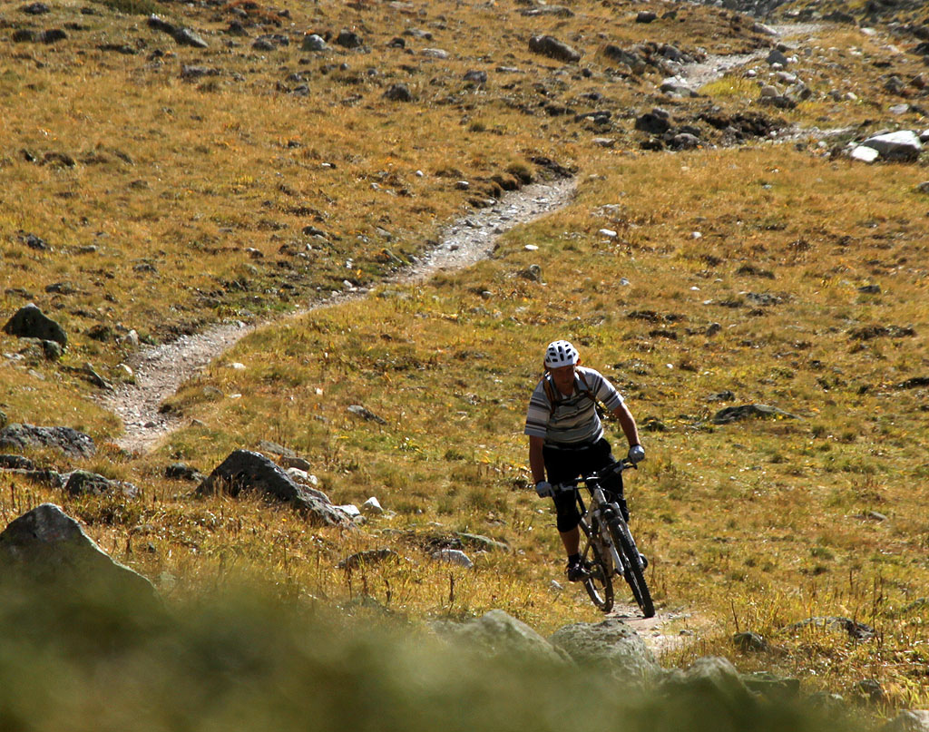600m of mostly singletrack descending from Suvretta to the Spinas road