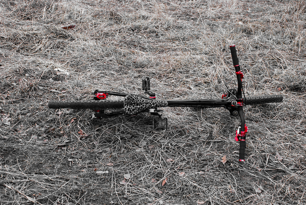 Santa Cruz Jackal, Magura W.O.T.A.N., Chris King Steelset, Straitline Pinch, RaceFace Atlas FR, SRAM X.0 Redwin Red, Token Jockey Wheels - Alloy/Tiramic, Nokon, SDG Bel Air Ti, Thomson Masterpiese Layback, Hope Mono M4 Limited Red, Goodridge, Easton Havoc AM, Schwalbe
