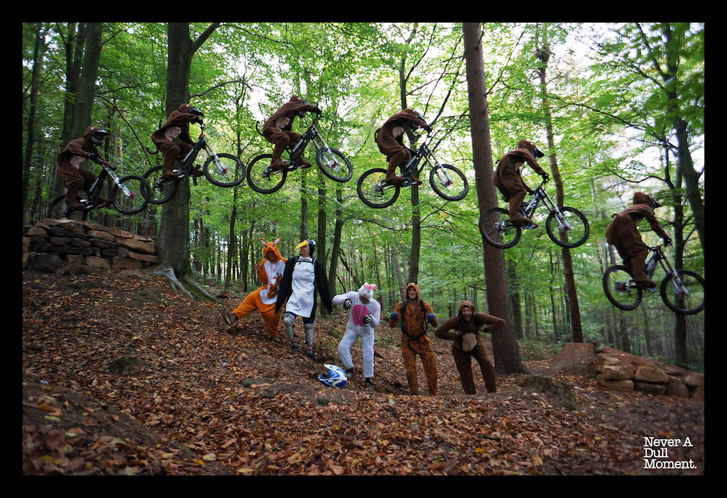 If you go down in the woods today....