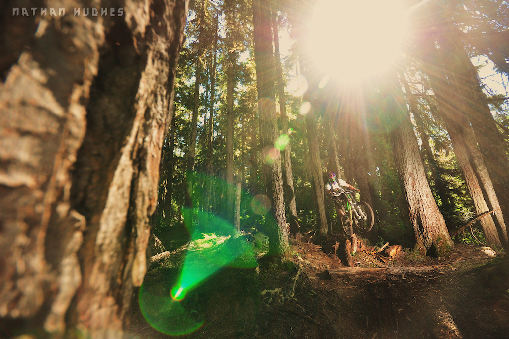 Crazy (real) lens flare, deep in the forest.