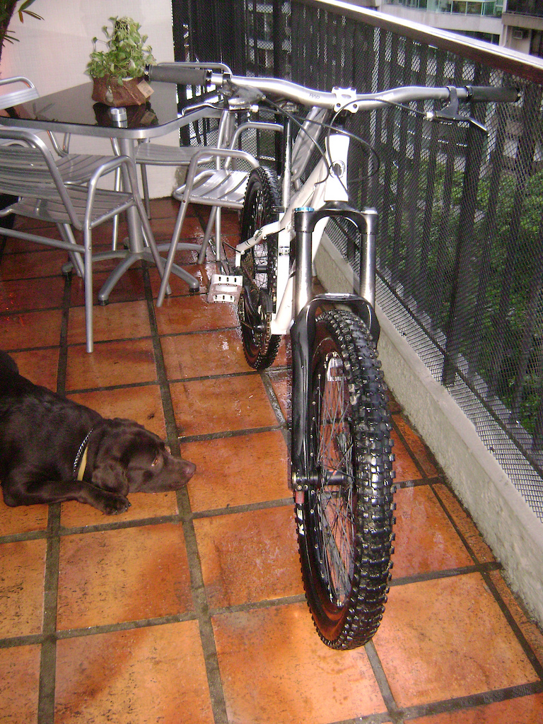 bike toda