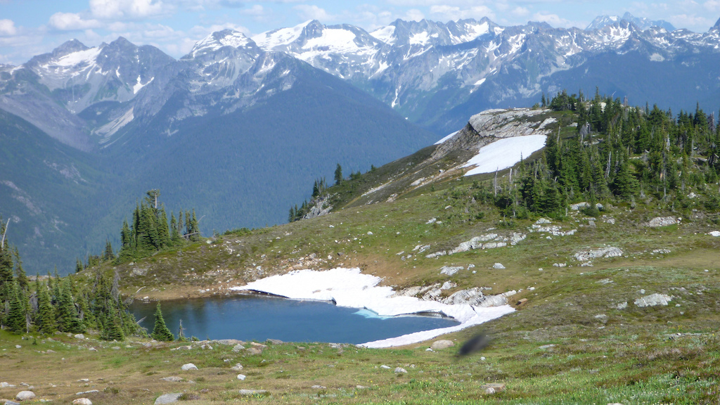 Some scenery from the Frisby Ridge trail in August, near Revelstoke BC.