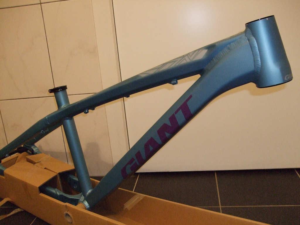 The frame for my new dirt/4X bike: Giant STP - Andi Wittmann Edition.