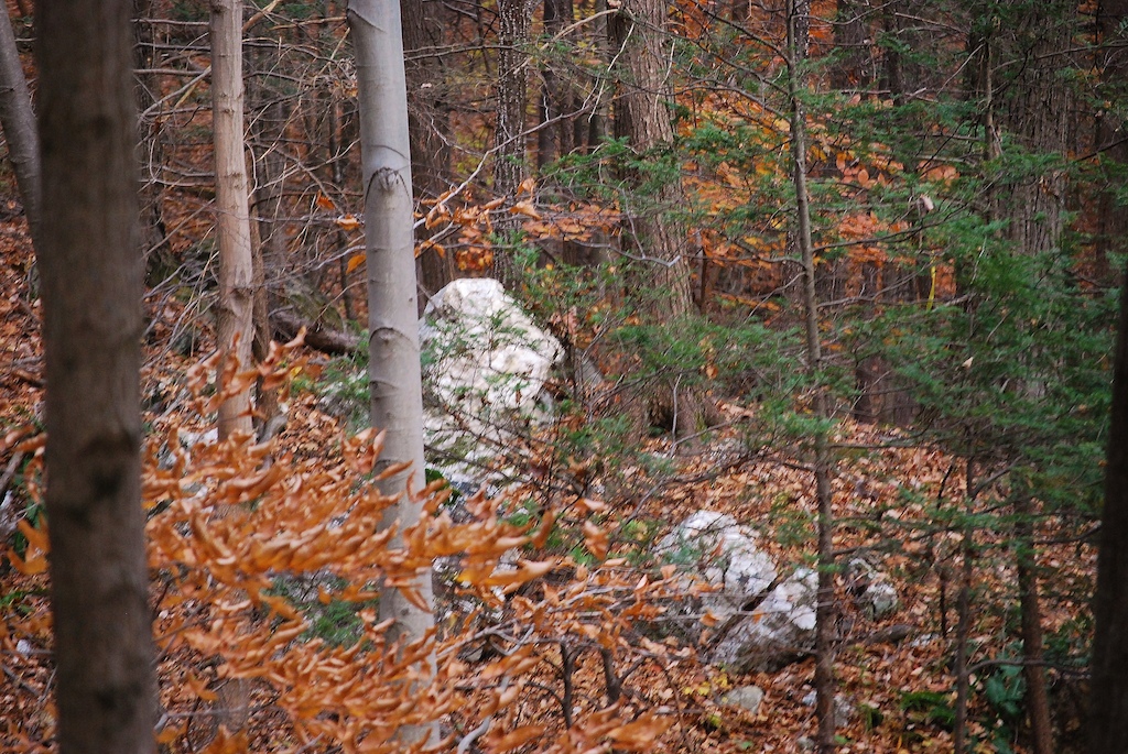 Fall time