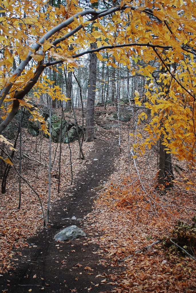 Jump Trail