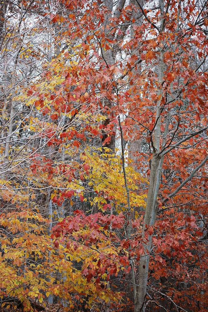 Fall time