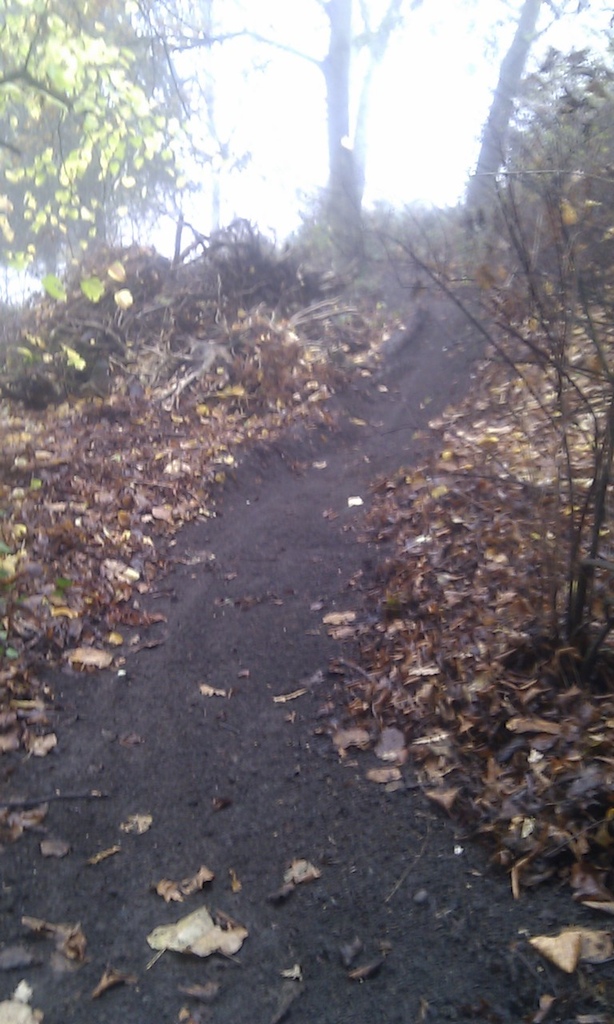 cleaning up the singletrack on a foggy NW London morning