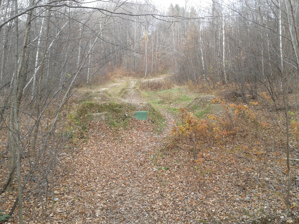 little jumps