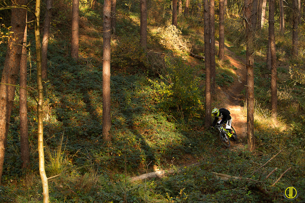 Wim Trail