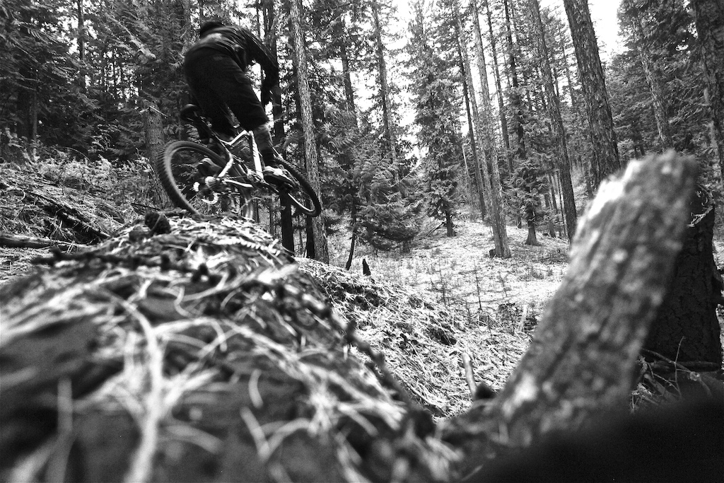 A self shot pic doing some fall ripping at Moscow Mt.