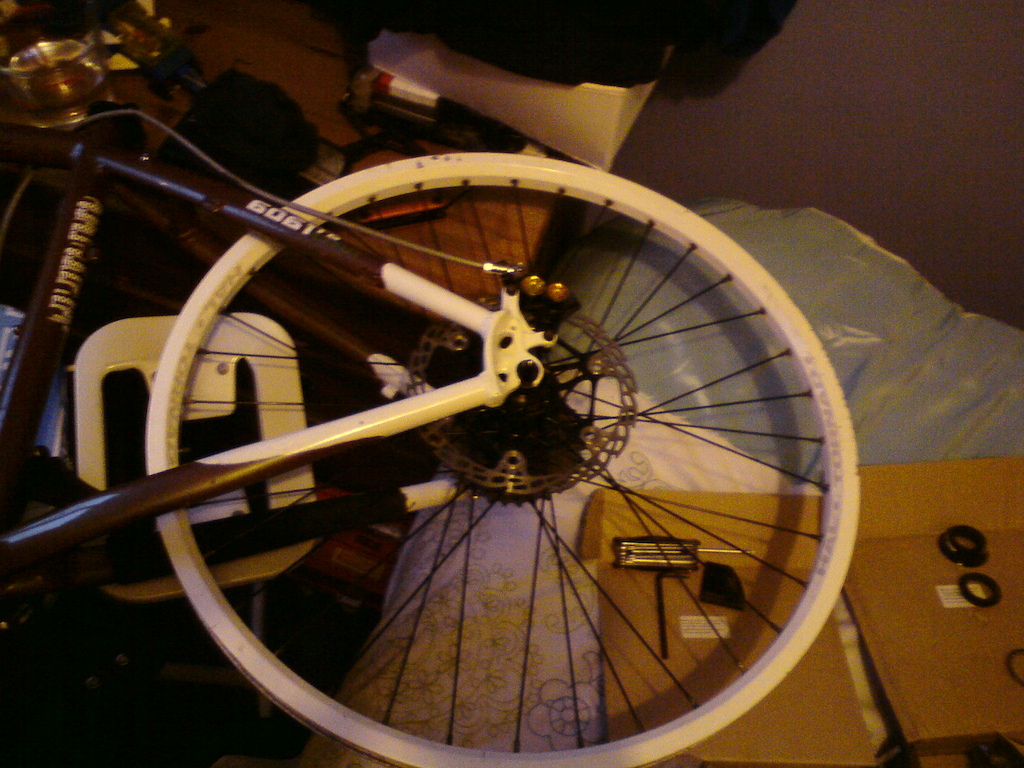 Rear wheel in position with Hope Mono M4 caliper bolted in place.