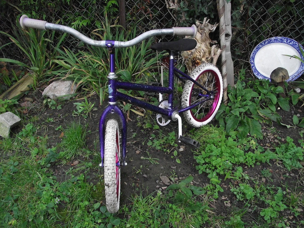 My new DH bike.
