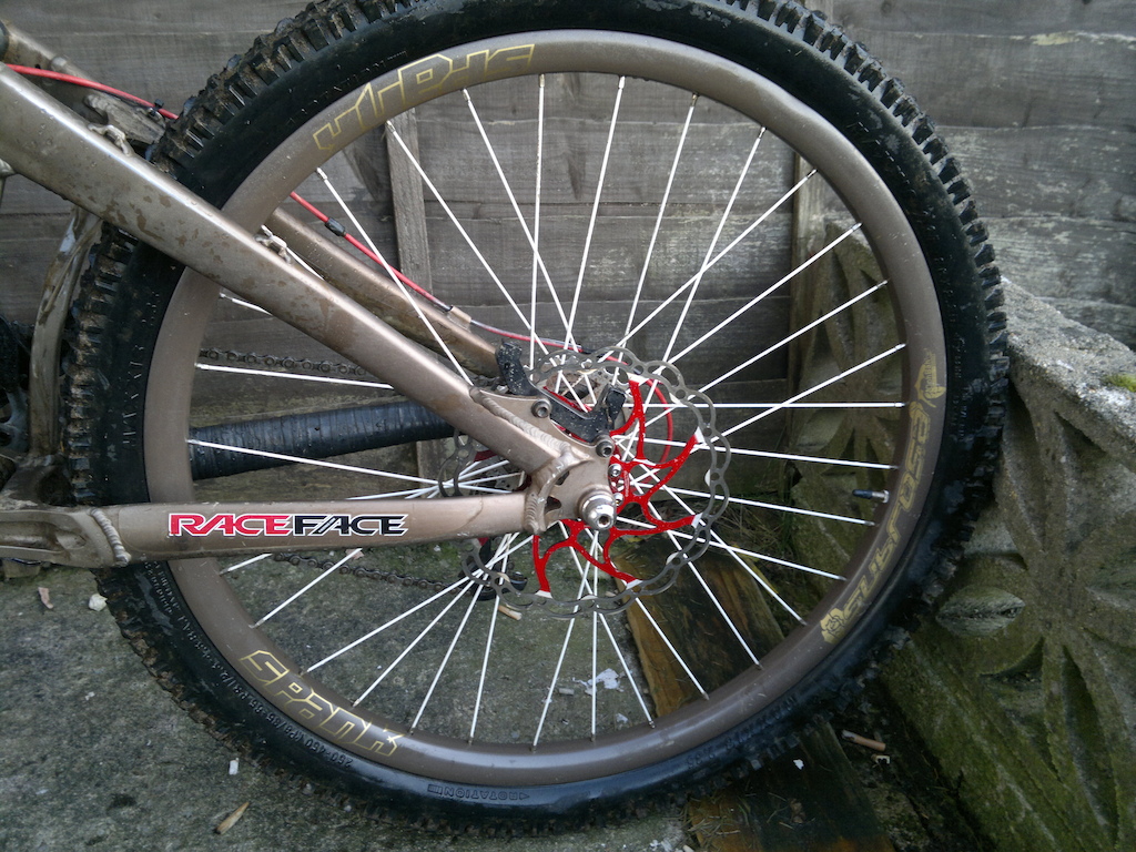 2.5 super tacky maxxis high roller, spank subrosa rim laced with white atomlab spokes to 150mm hope pro 2 hub, colour matched red 8" aligator disc.