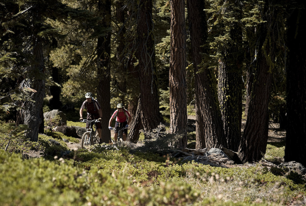 Tahoe in September is all about big trees and temperatures that are cool enough to ride again. Photo by Dan Milner.