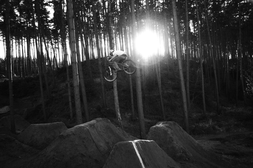 bit of height, I liked the light through the trees.