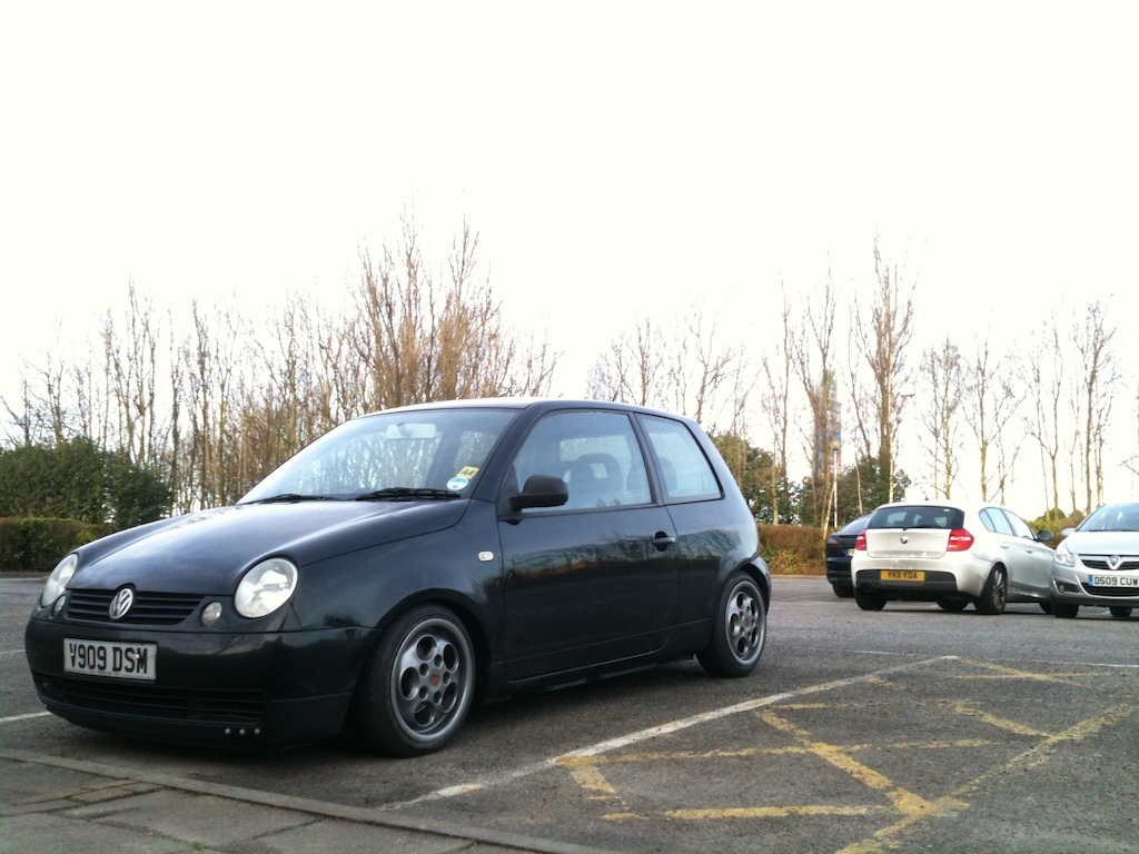 New shoes and soles on Lupo!