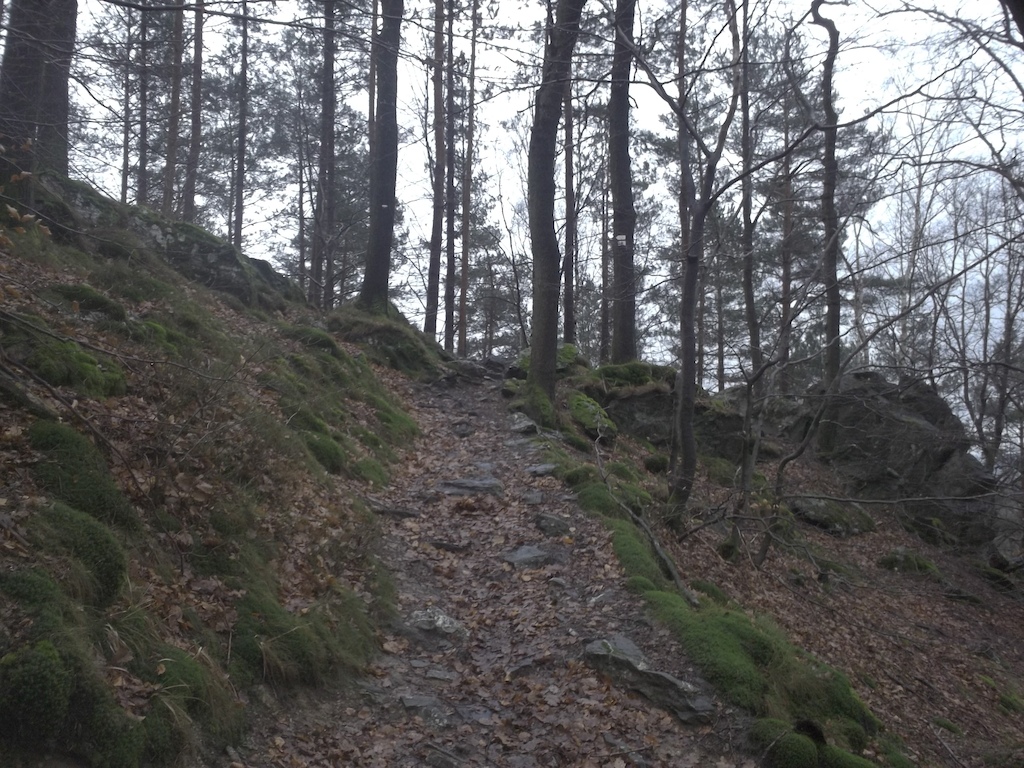 exploring new trails ...