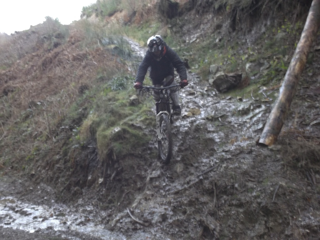 exploring new trails ...