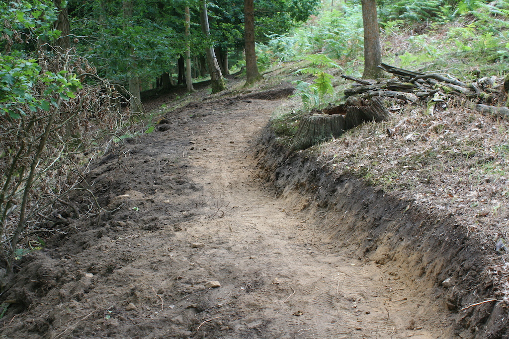 Part of a New climb for Freeminers Trail