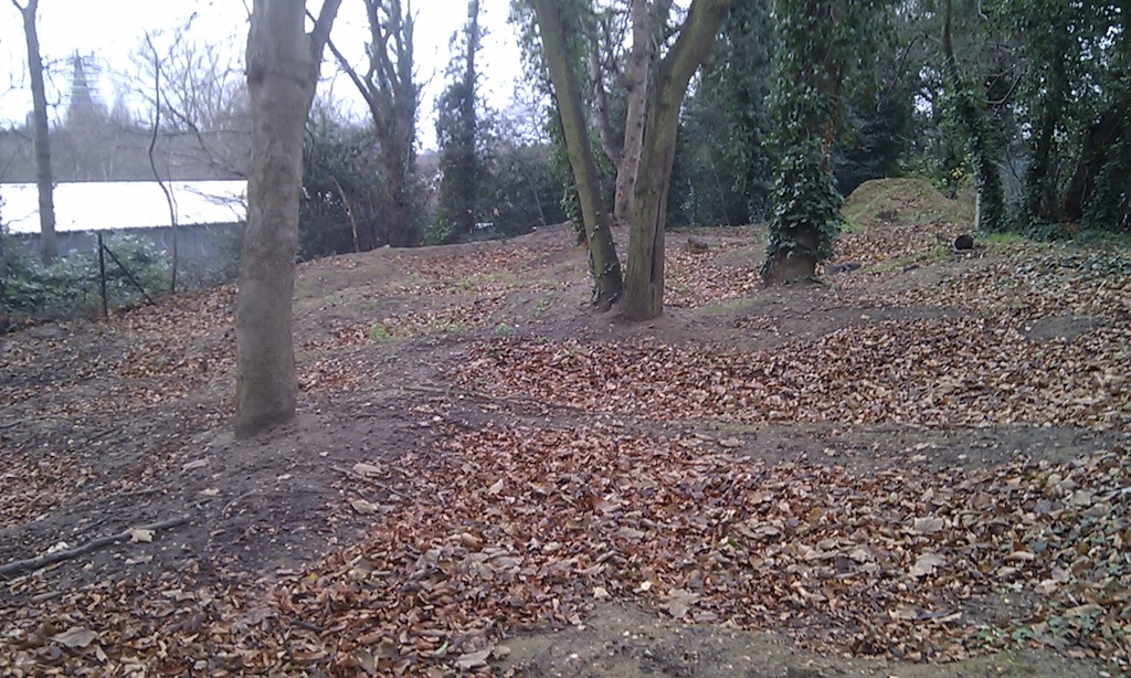 what is left of Esher X 1 year on from its destruction, slowly turning back to woodland, the pump track is flat and full of leaves