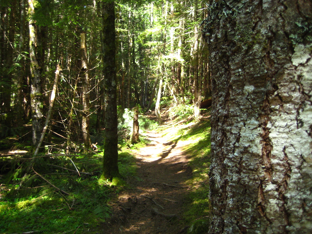 one of the lower trails
