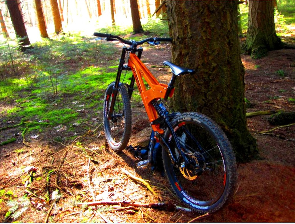 me, my bike, the forest. a place to shred. beautiful weather :)