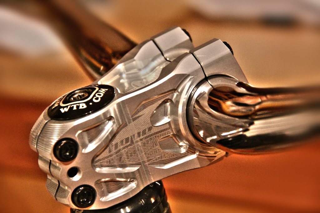 New stem!