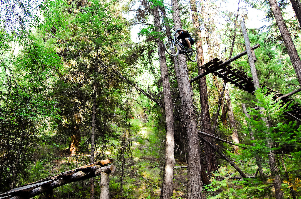 rider:  Brad Walton