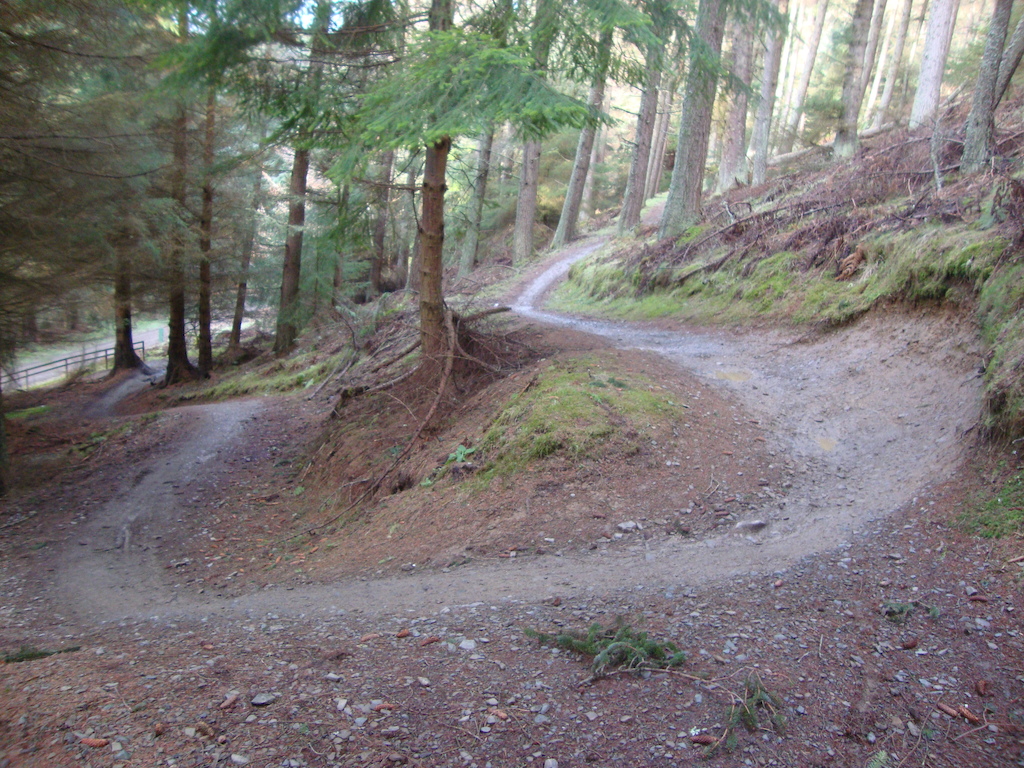 its got all the the right curves a like this trail
a walked back up a wee bit and came back
down again