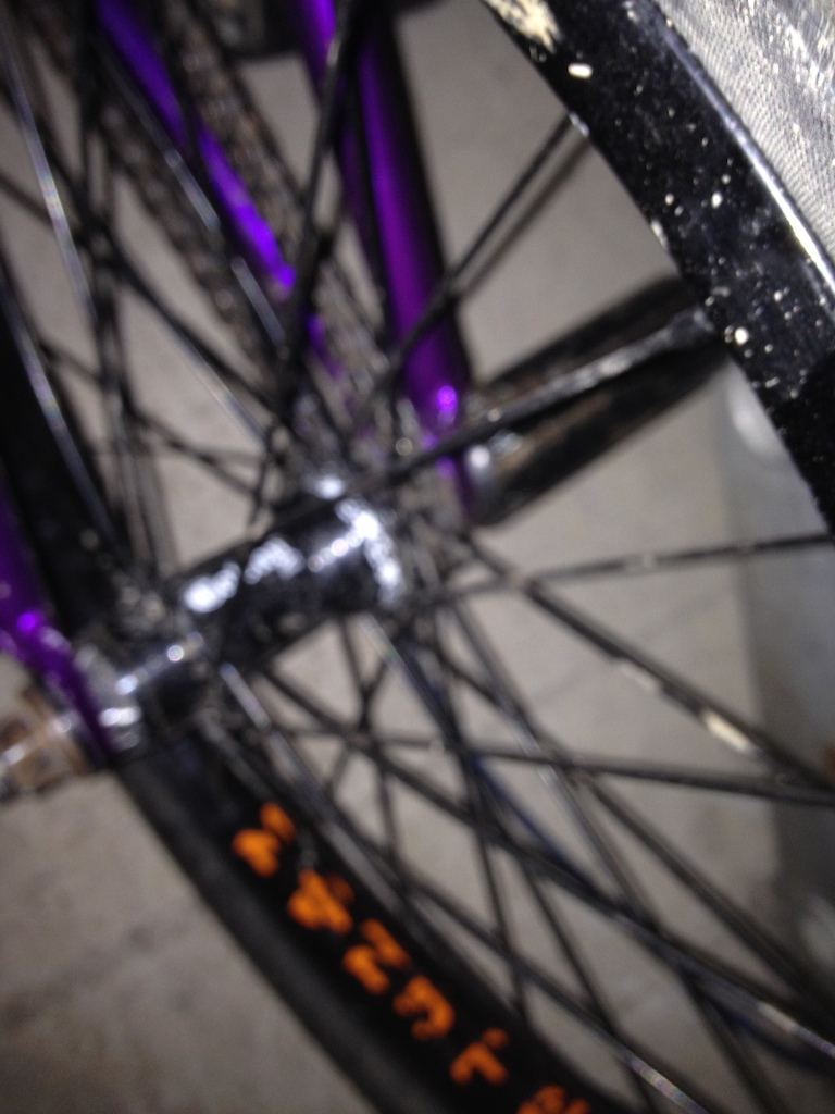 back hub