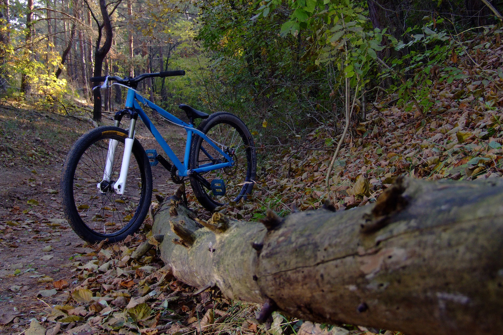 autumnbikecheck