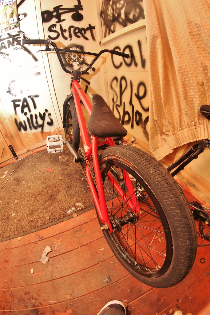new lobo