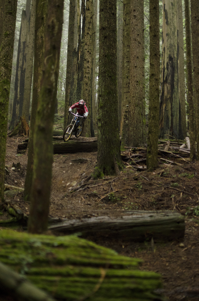 Jimmi on a foggy shore day on Cypress Mountain