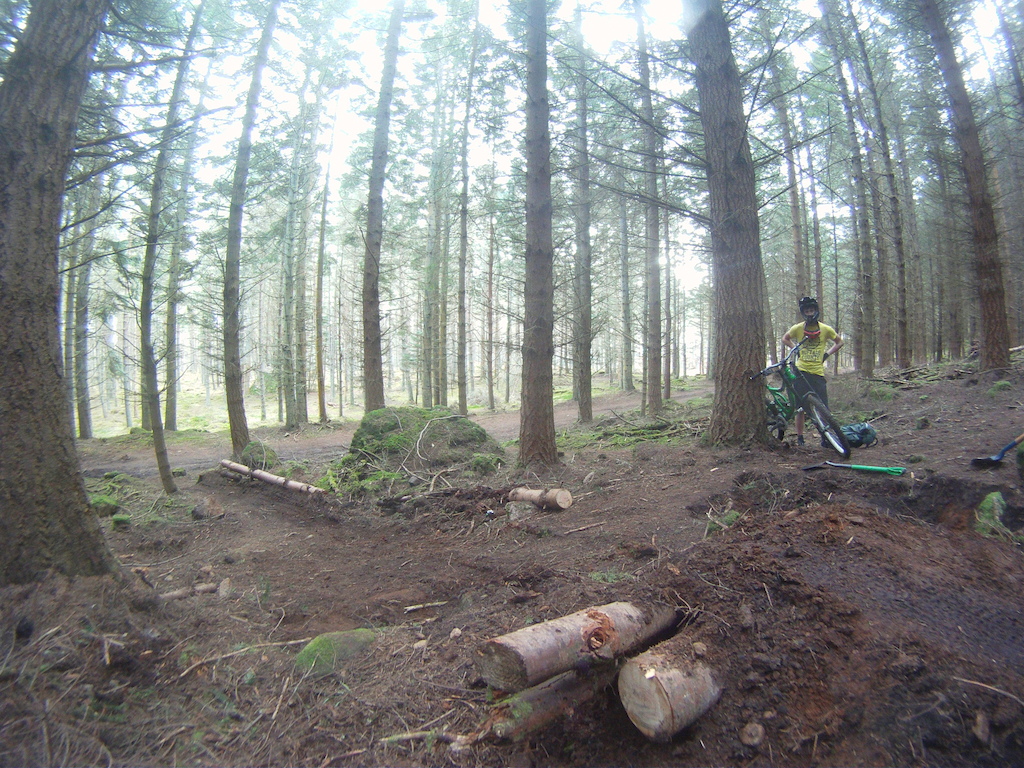 Section of the trail up at the mast me and some friends are building