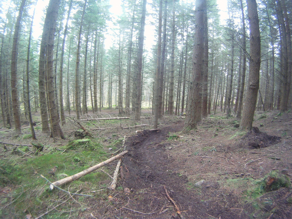 Section of the trail up at the mast me and some friends are building