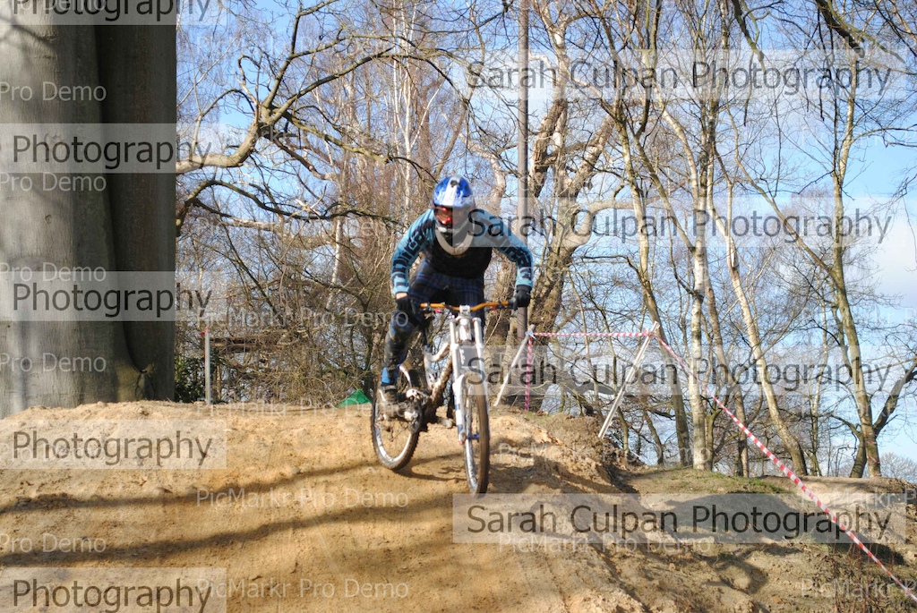 FOR SALE - http://www.rootsandrain.com/race965/2012-feb-19-2011-12-mr-bling-winter-4-penshurst/photos/?photog=475