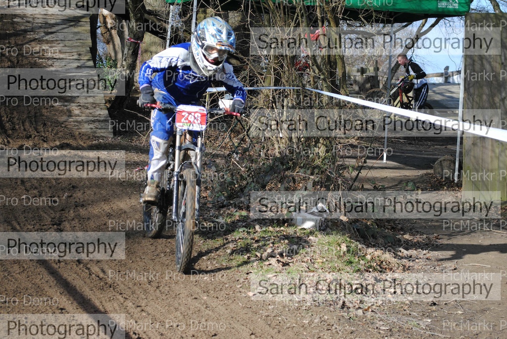 FOR SALE - http://www.rootsandrain.com/race965/2012-feb-19-2011-12-mr-bling-winter-4-penshurst/photos/?photog=475