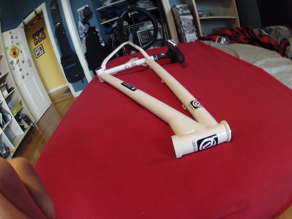 Cryptkeeper Frame with seat and seatpost