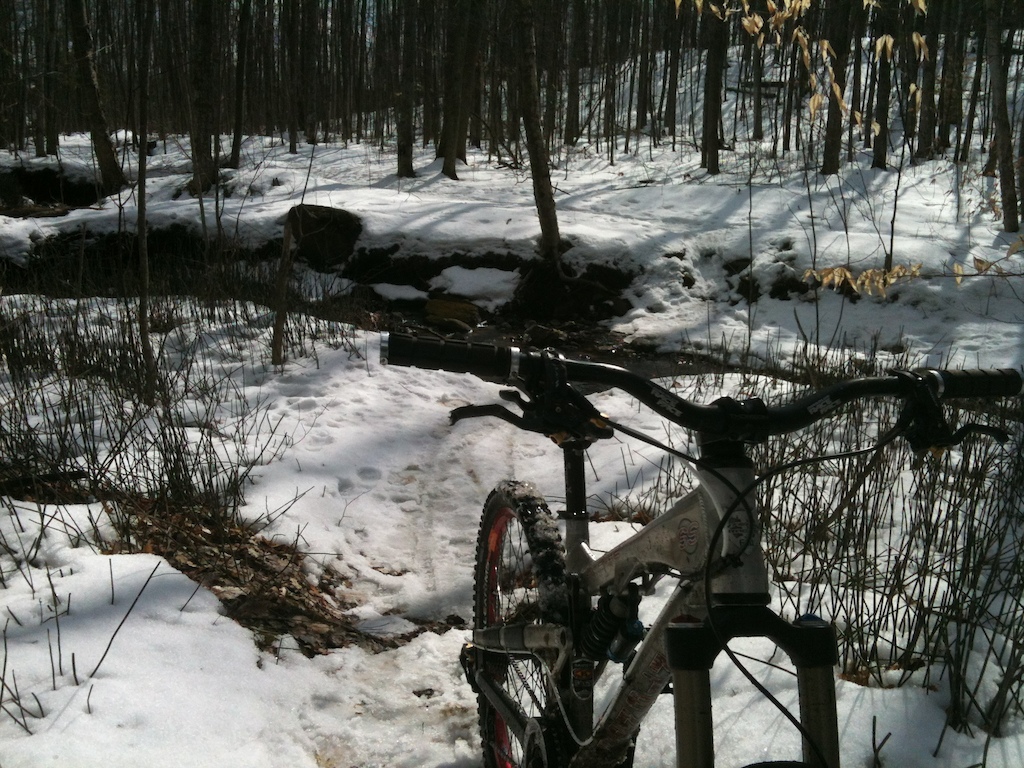 SSFC woods. Trail is snow covered still, but at least its ride-able now.