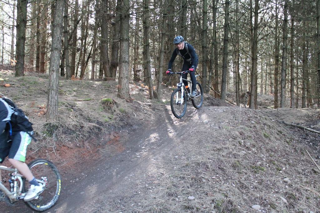 Demo Cannock Chase