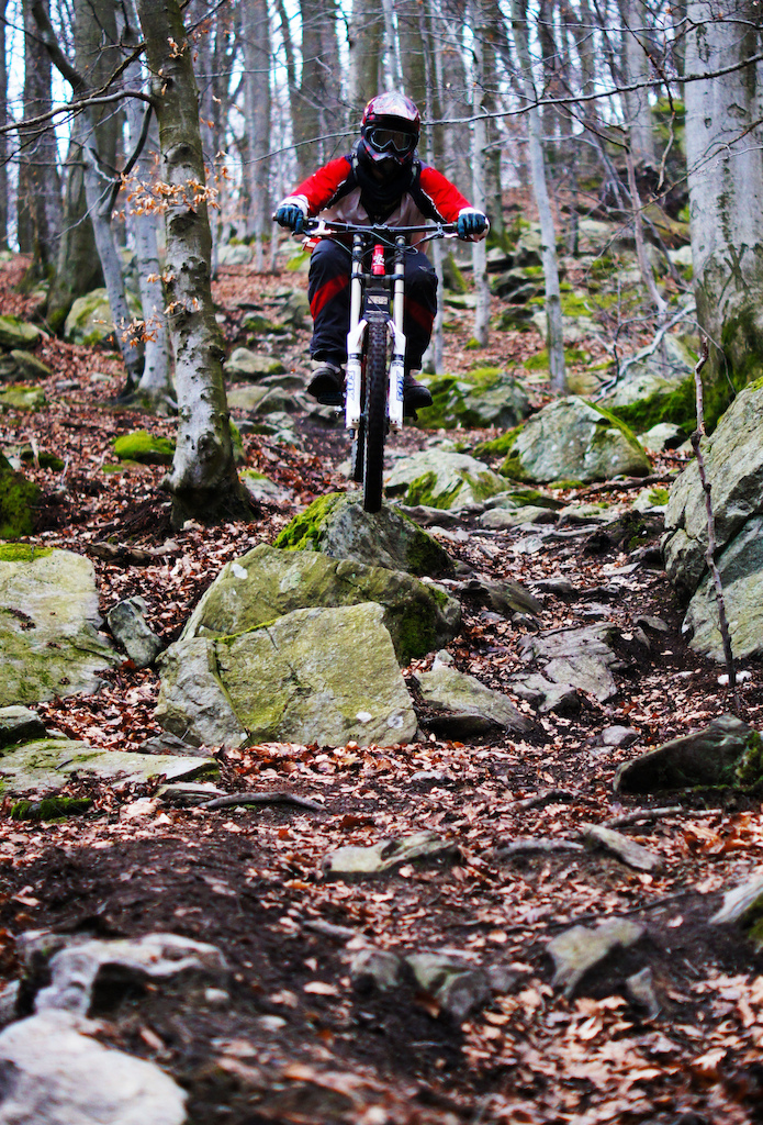 Stony. Photo by Björn