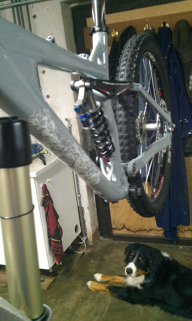 my new bike