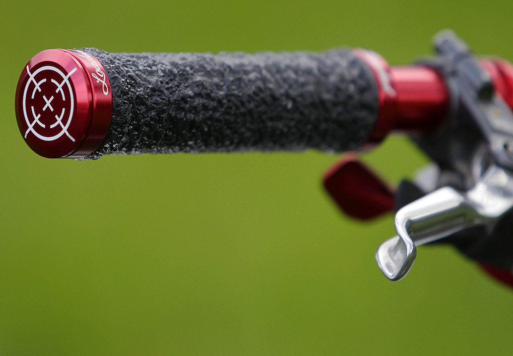Loaded grips