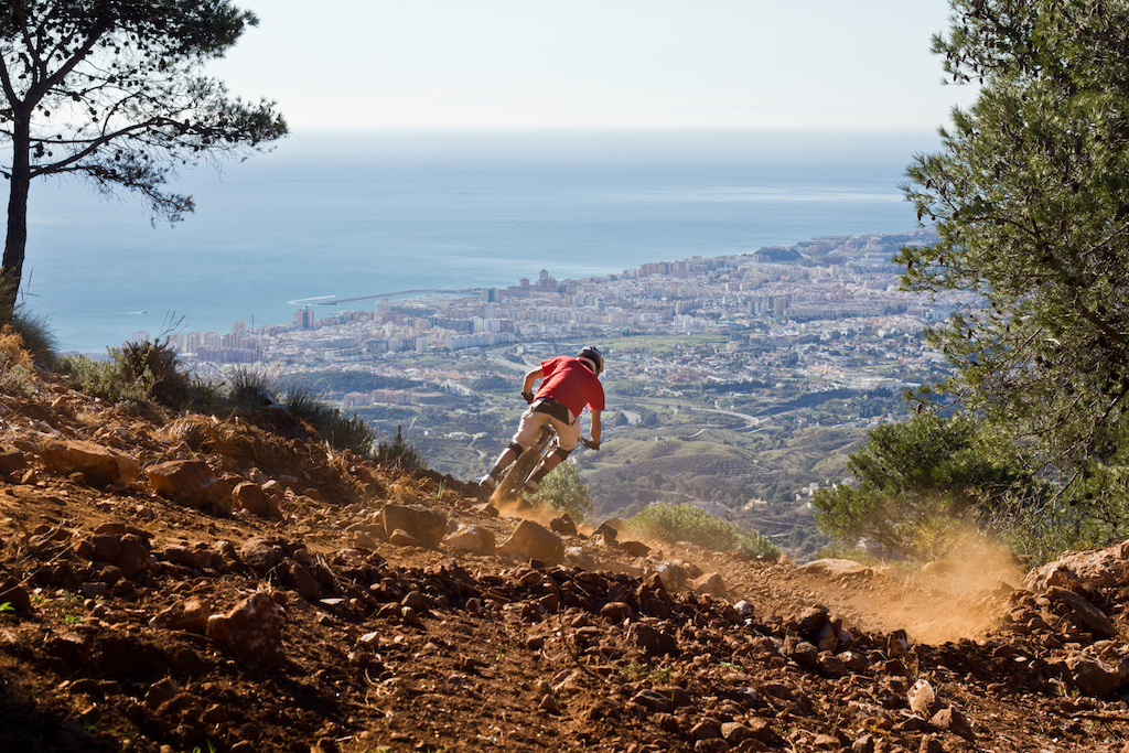 Roost DH