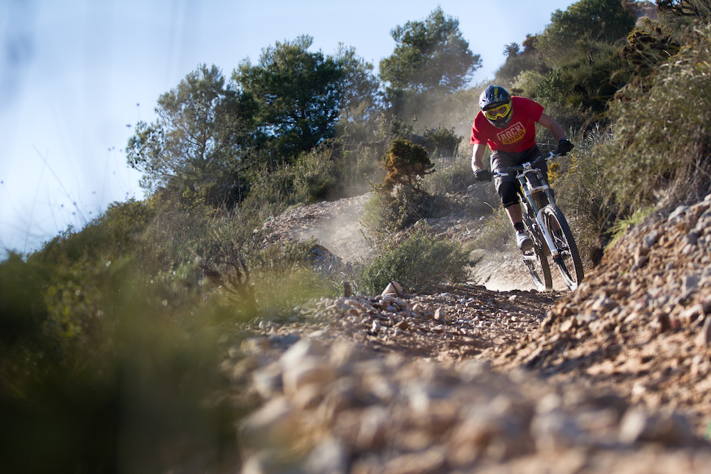 Roost DH