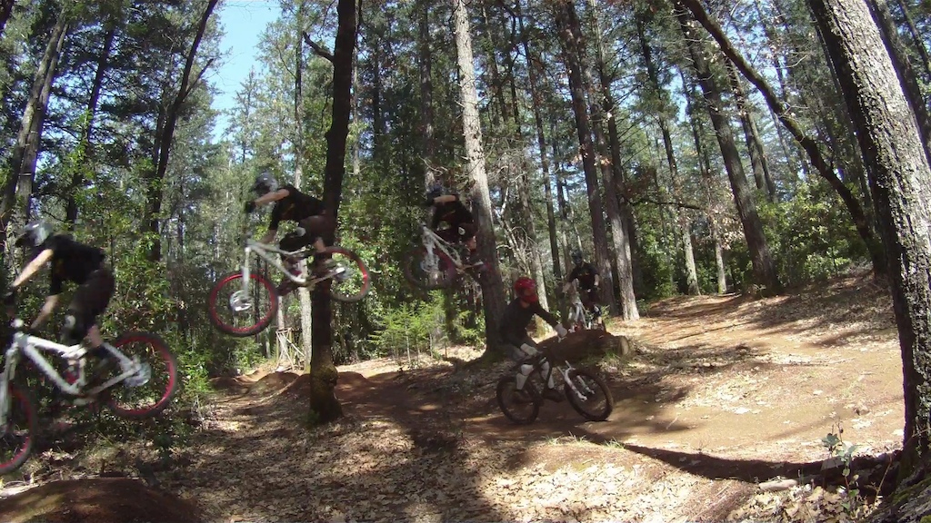 Got seriously close to taking out my buddy Dylan today!!! This was not planned.