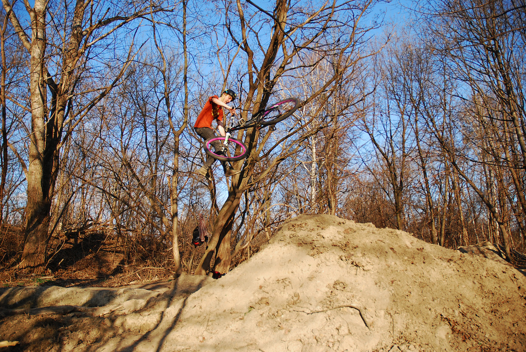 tailwhip