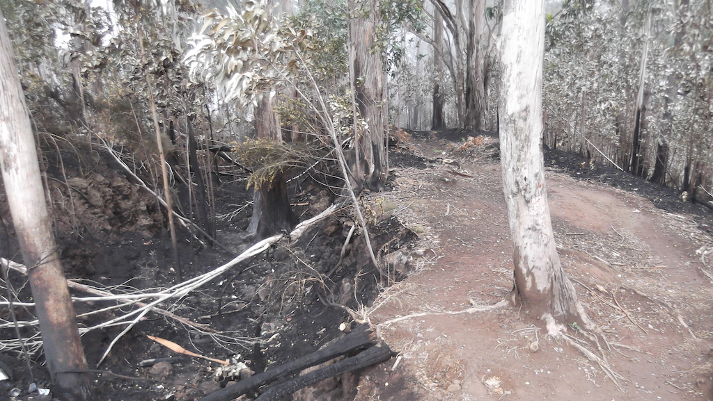 This week, the track of Prazeres owned by  a fire made ​​by someone without scruples, the track itself're good, plus the visual state disappoint those who enjoy nature as you can see in this picture, is now a stunning decline.