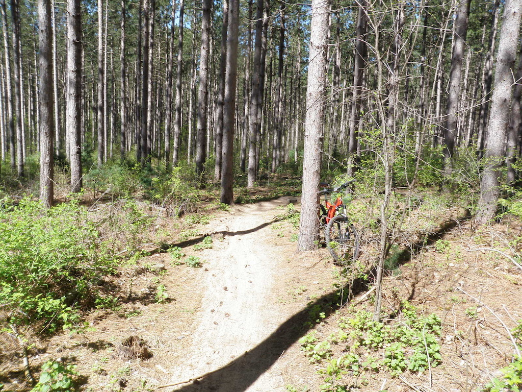 sandiest section of the blue loop ,muir trails.gradual climb.